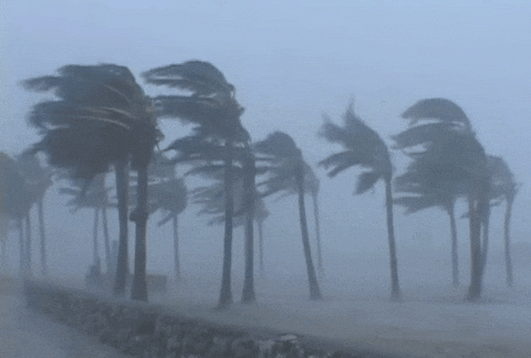 StrandWind