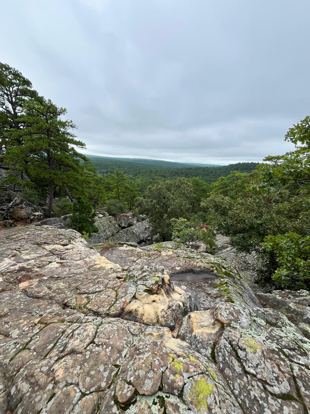 hier leben die Chotaw Indianer